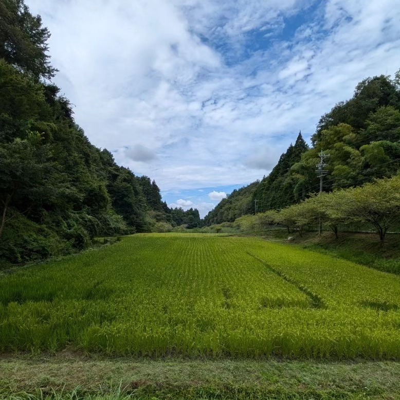 もみ殻くん炭づくり体験inすげの里　－里山のエコで持続可能なスローライフを体験－