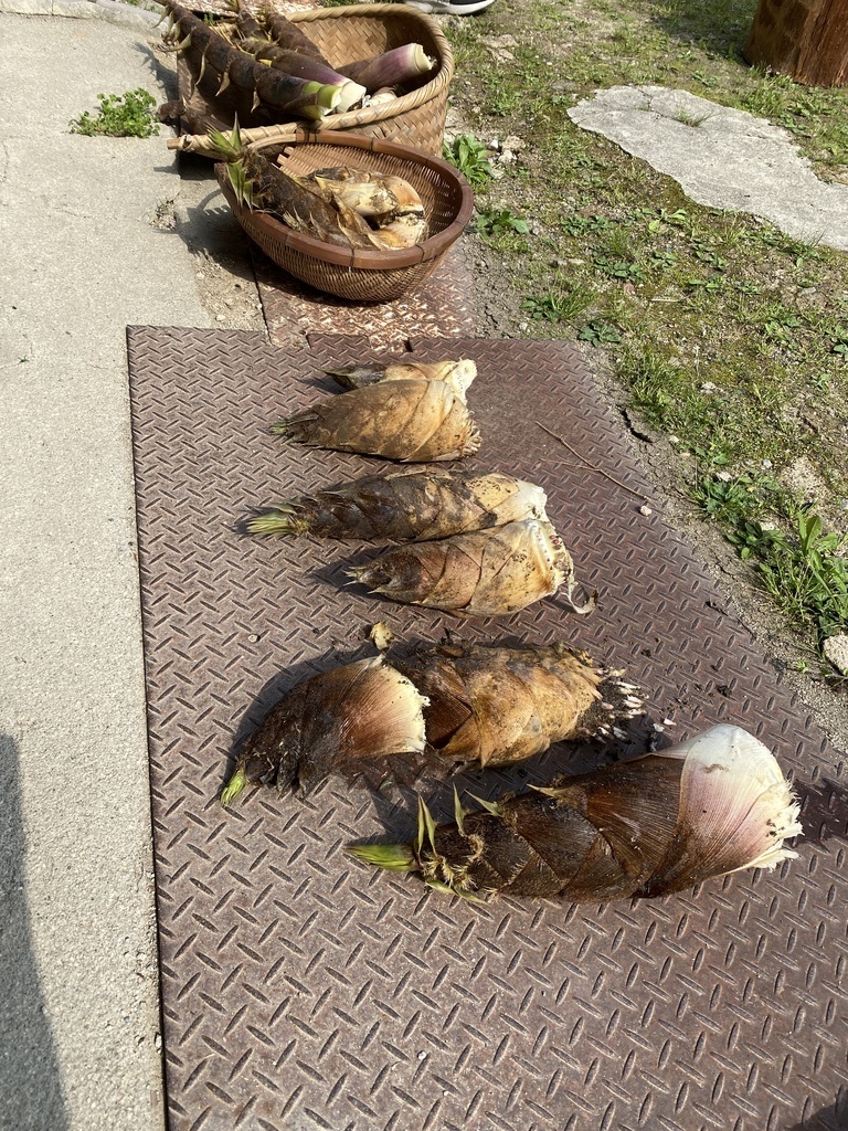 北小田体験塾　竹林整備プロジェクト