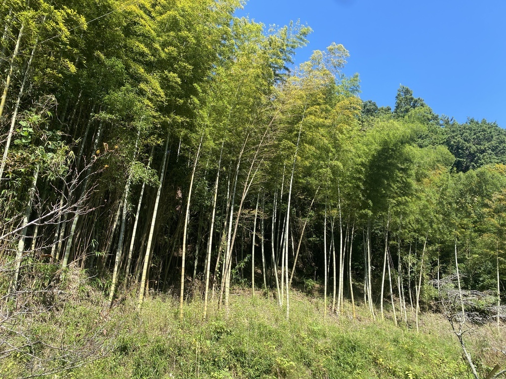 北小田体験塾　竹林整備プロジェクト