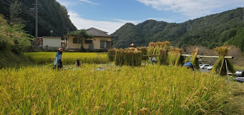 機械製造ではない手仕事の魅力！てしごとの会によるわらで鍋敷きづくり体験