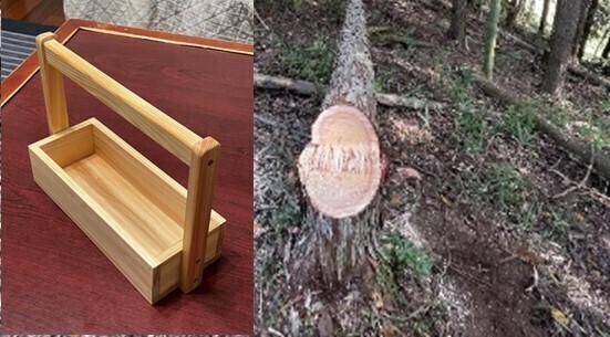 【1/26募集開始！】森の資源を活用！間伐材木工研究会によるヒノキの間伐材を使った木工体験