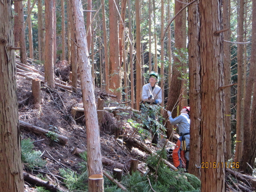 【1/26募集開始！】森の資源を活用！間伐材木工研究会によるヒノキの間伐材を使った木工体験