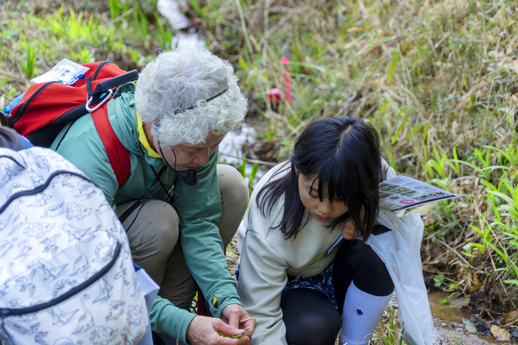 〜 旬の野草を学び、タラの芽・ウドを摘む「春の野草おかずツアー」