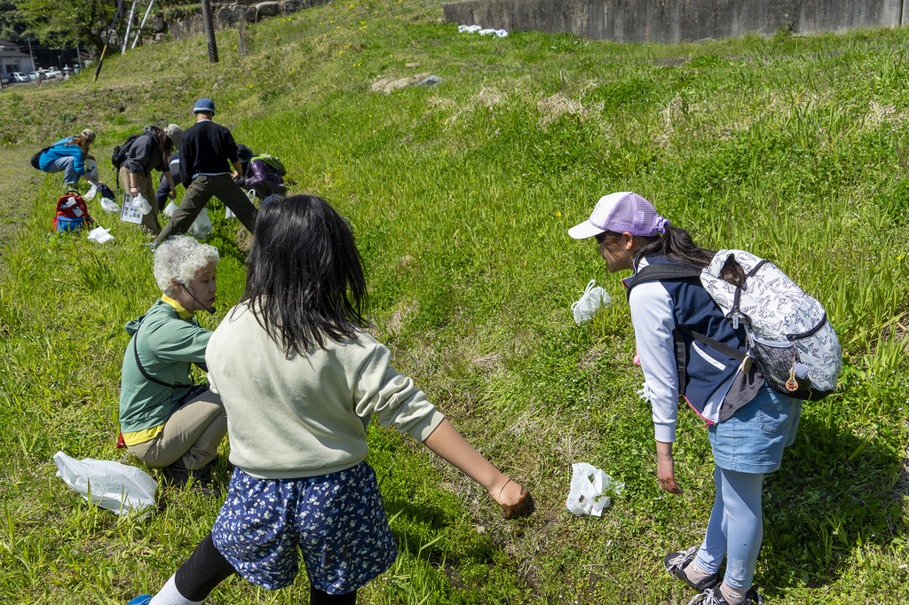〜 旬の野草を学び、タラの芽・ウドを摘む「春の野草おかずツアー」
