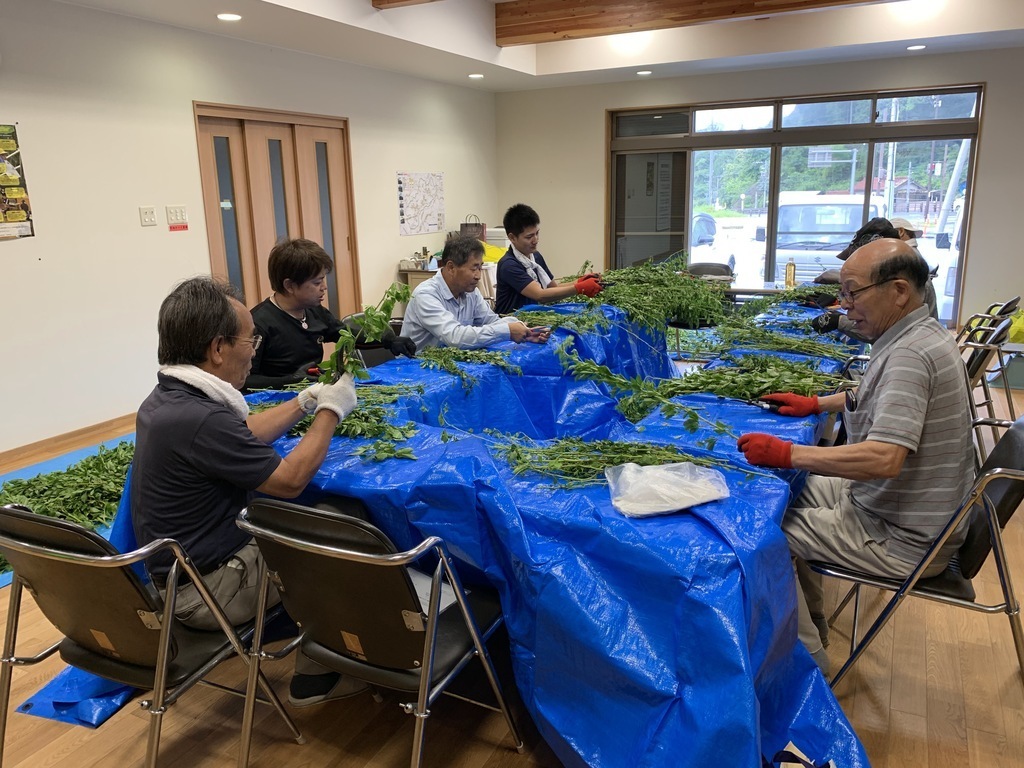 「うこぎ」って何だろう！？UKONOWAによる五加木でお茶づくり体験&ティータイムinすげの里2026