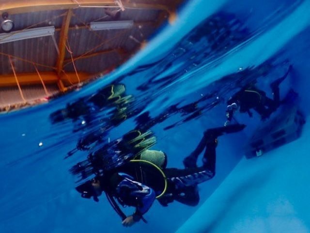 海がない豊田市でも、楽しめる！本格的な体験ダイビングで癒されよう！