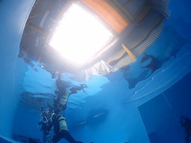 海がない豊田市でも、楽しめる！本格的な体験ダイビングで癒されよう！